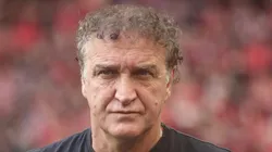 Cuca está livre no mercado