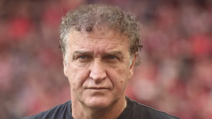 Cuca está livre no mercado