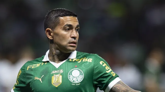 Dudu do Palmeiras durante partida contra o Grêmio pelo Campeonato Brasileiro – Foto: Anderson Romao/AGIF