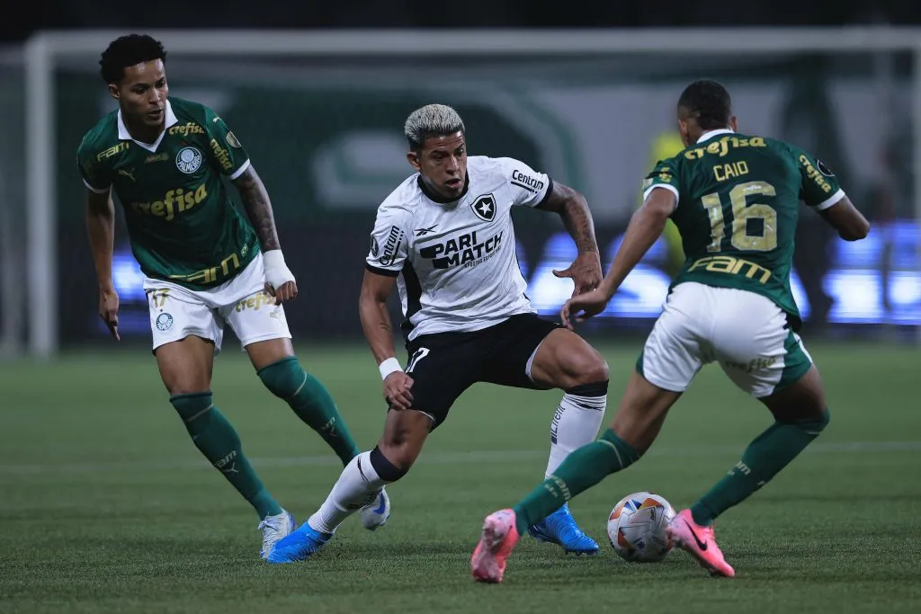 Palmeiras e Botafogo, no 1° turno do Brasileirão. Foto: Ettore Chiereguini/AGIF