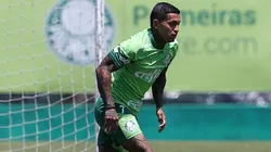 Dudu prova para Abel Ferreira e Leila Pereira seu compromisso com o Palmeiras - Foto: Flick do Palmeiras