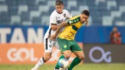 Botafogo e Cuiabá se enfrentam pela 33º rodada do Brasileirão Betano