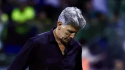 Renato Portaluppi, técnico do Grêmio, na derrota para o Palmeiras. Foto: Marcello Zambrana/AGIF.