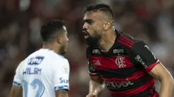 Cruzeiro x Flamengo pelo Brasileirão 2024. Foto: Jorge Rodrigues/AGIF