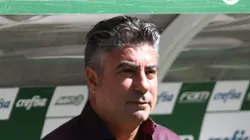 Alexandre Gallo pode sair do Peixe em dezembro.