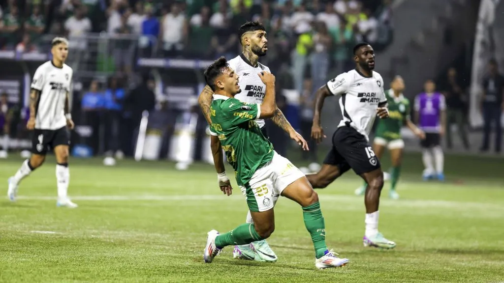 Jogadores de Botafogo e Palmeiras. Foto: Pedro Paulo Diaz/Thenews2/Imago Images