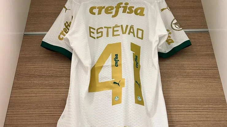 (Divulgação/Palmeiras)