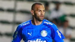 Weverton goleiro do Palmeiras. Foto: Luiz Erbes/AGIF