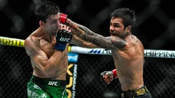 Alexandre Pantoja luta pelo cinturão dos moscas.