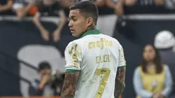 Dudu em ação pelo Palmeiras - Foto: Leco Viana