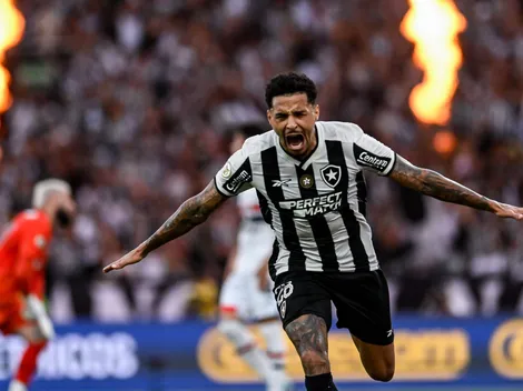 Botafogo derrota São Paulo e conquista título do Brasileirão de 2024