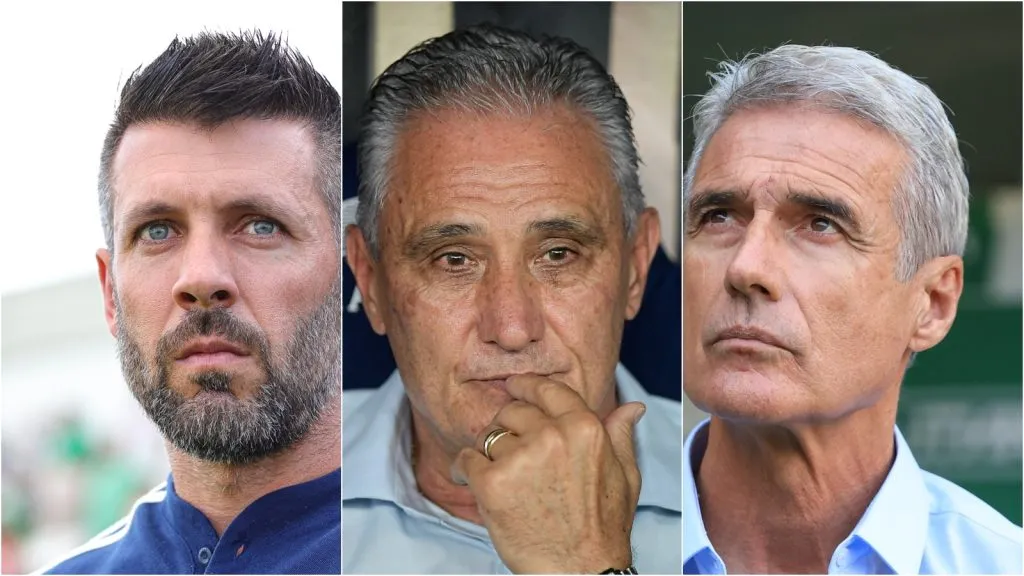 Pezzolano, Tite e Luís Castro são alguns dos treinadores livres no mercado. Foto: Thiago Ribeiro/Gilson Junio/Marcello Zambrana/AGIF
