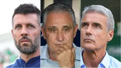 Pezzolano, Tite e Luís Castro são alguns dos treinadores livres no mercado. Foto: Thiago Ribeiro/Gilson Junio/Marcello Zambrana/AGIF