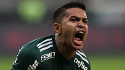 Baixinho foi ídolo no Verdão - Foto: Cesar Greco/Palmeiras.