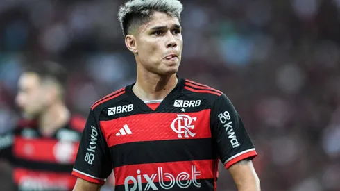 Luiz Araujo em Flamengo x Bahia - Foto: Celso Pupo/Fotoarena