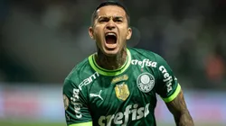 Dudu em ação pelo Palmeiras - Foto: Ronaldo Barreto/Thenews2/imago images