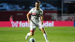Galoppo - Foto: Riquelve Nata/ SPP