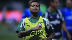 Dudu não terá homenagens no Verdão