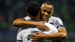 Botafogo pode ser campeão na próxima rodada. Foto: Joisel Amaral/AGIF