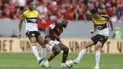 Flamengo x Criciúma pelo Campeonato Brasileiro 2024. Foto: Ton Molina