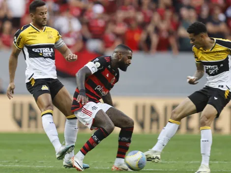Saiba tudo sobre Criciúma x Flamengo pelo Brasileirão Betano