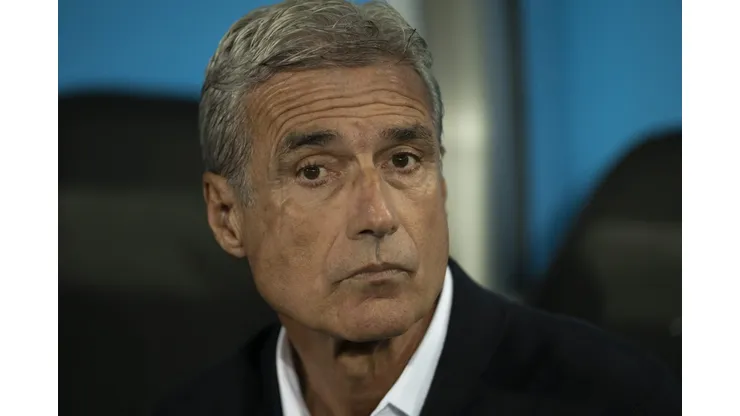 Ex-Botafogo, Luís Castro é entrevistado por Textor para assumir Lyon