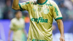 Palmeiras muda de patrocinadora máster. Foto: Marco Miatelo/AGIF
