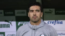 Abel Ferreira terá reforços para 2025