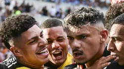 Tiquinho Soares comemorando gol pelo Botafogo.