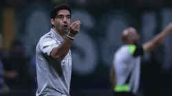 Abel Ferreira possui novo atacante no elenco