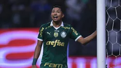 Rony em ação pelo Palmeiras - Foto: Ettore Chiereguini/AGIF