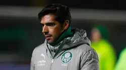 Abel Ferreira, treinador do Palmeiras, em ação pelo Brasileirão