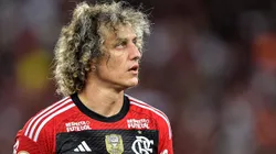 Torcida do Santos aprova David Luiz - Foto: Thiago Ribeiro/AGIF.