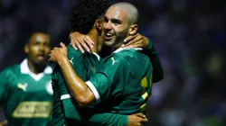 Figueiredo é uma das jóias do Palmeiras (Marco Miatelo/AGIF)