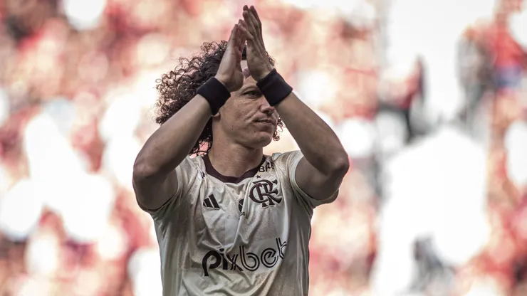 David Luiz jogava com o número 23 no Flamengo. Foto: Isabela Azine/AGIF