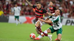 Flamengo x Boavista s enfrentam neste domingo (12) pelo Campeonato Carioca 2025. Foto: Thiago Ribeiro/AGIF