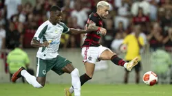 Flamengo x Boavista terá transmissão ao vivo do Bolavip Brasil pelo Campeonato Carioca 2025. Foto: Jorge Rodrigues/AGIF