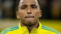 Niclas Eliasson (Photo by Michael Campanella/Getty Images)