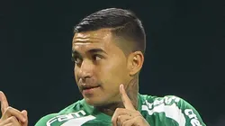 SP - SAO PAULO - 26/11/2024 - BRASILEIRO A 2024, PALMEIRAS X BOTAFOGO - Dudu jogador do Palmeiras lamenta durante partida contra o Botafogo no estadio Arena Allianz Parque pelo campeonato Brasileiro A 2024. Foto: Joisel Amaral/AGIF