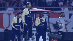 SP - SAO PAULO - 17/07/2024 - BRASILEIRO A 2024, SAO PAULO X GREMIO - Luis Zubeldia tecnico do Sao Paulo durante partida contra o Gremio no estadio Morumbi pelo campeonato Brasileiro A 2024. Foto: Marcello Zambrana/AGIF