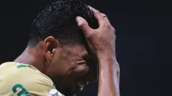 Rony em partida entre Palmeiras x Criciúma no Campeonato Brasileiro 2024 Foto: Ettore Chiereguini/AGIF