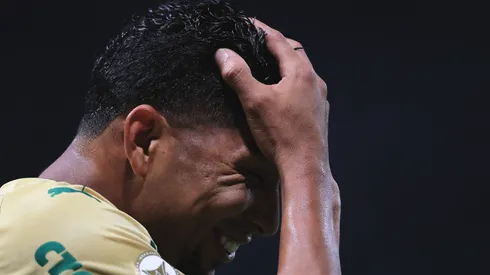 Rony em partida entre Palmeiras x Criciúma no Campeonato Brasileiro 2024 Foto: Ettore Chiereguini/AGIF