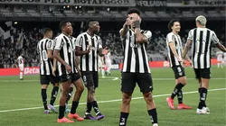Botafogo contra a Portuguesa. Foto: Thiago Ribeiro/AGIF