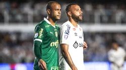 Santos x Palmeiras se enfrentam pelo Paulistão 2025. Foto: Reinaldo Campos/AGIF
