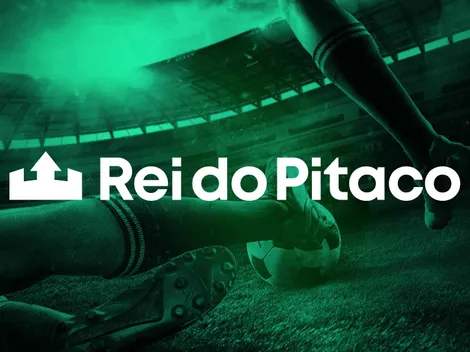 Rei do Pitaco apk: como baixar e jogar o fantasy pelo celular