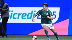 Palmeiras jogando contra a Portuguesa. Foto: Ettore Chiereguini/AGIF