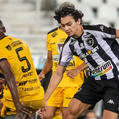 Palpite Botafogo x Volta Redonda - Campeonato Carioca - 22/01/2025