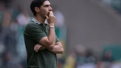 Abel Ferreira tecnico do Palmeiras durante partida contra o Fluminense no estadio Arena Allianz Parque pelo campeonato Brasileiro A 2024. Foto: Ettore Chiereguini/AGIF