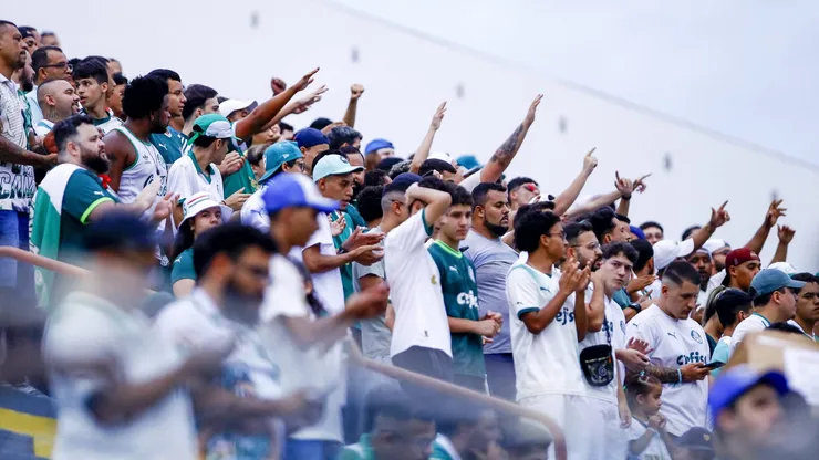 Torcida durante partida entre Osasco Audax e Palmeiras na Arena Barueri pela Copa S]ao Paulo 2025. Foto: Marco Miatelo / AGIF
