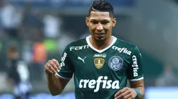 Rony segue no Palmeiras - Foto: Marcello Zambrana/AGIF.